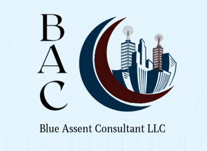 Blue Assent Consultant LLC logo